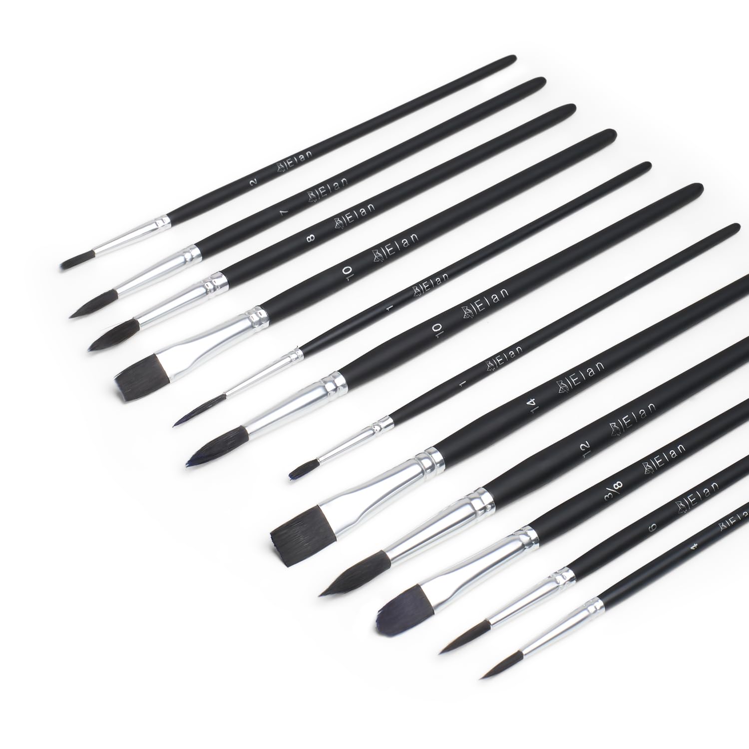 elan-set-12-pennelli-sintetici-martora-per-acquerello image 1