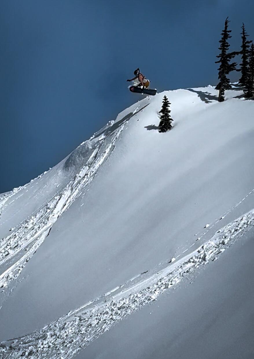 Splitboard versatile
