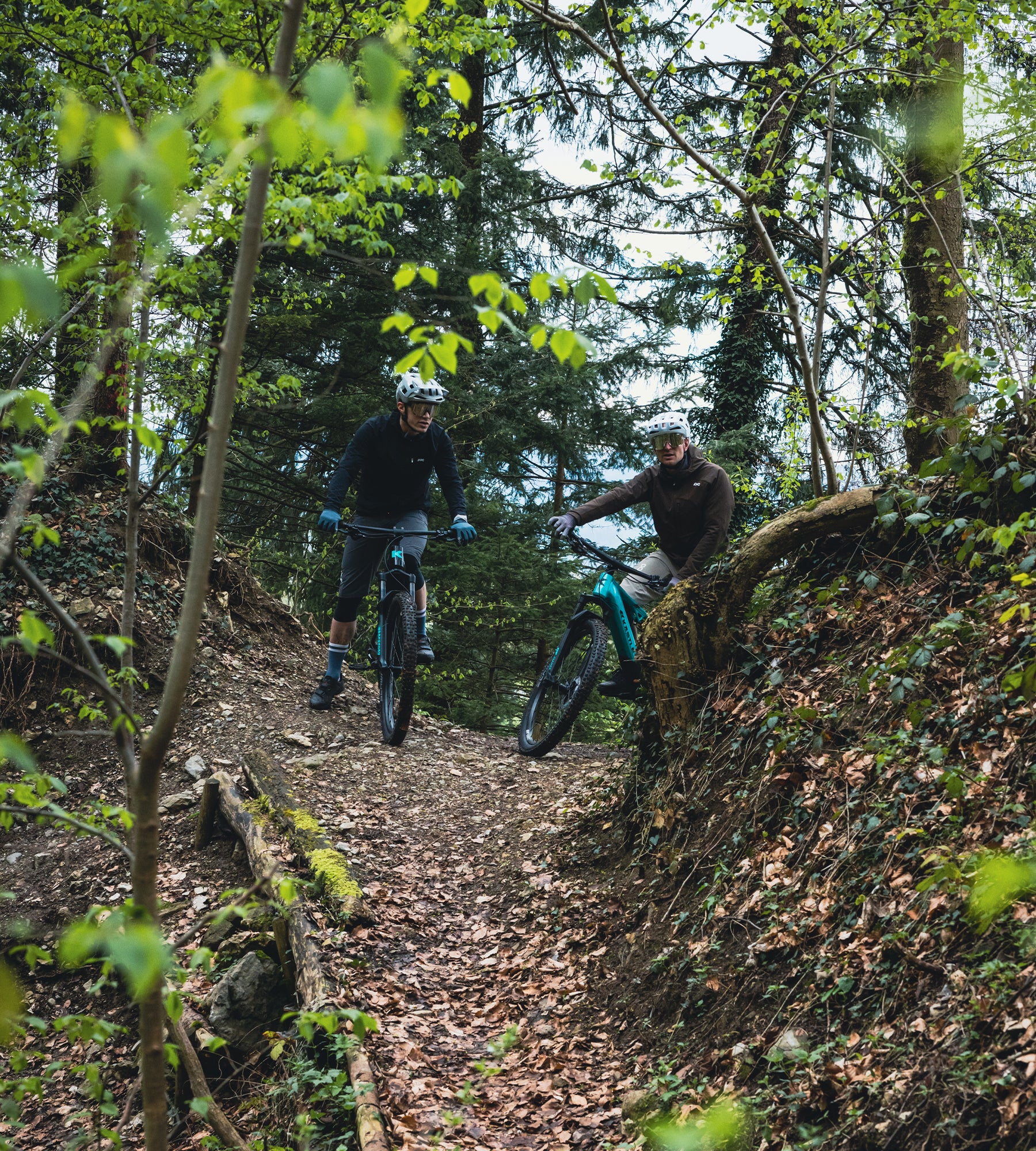 k-stle-k-emx-7-e-mtb-trail-bosch-750-wh image 2