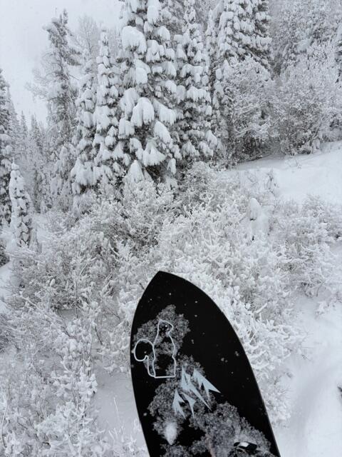 Surfando la neve