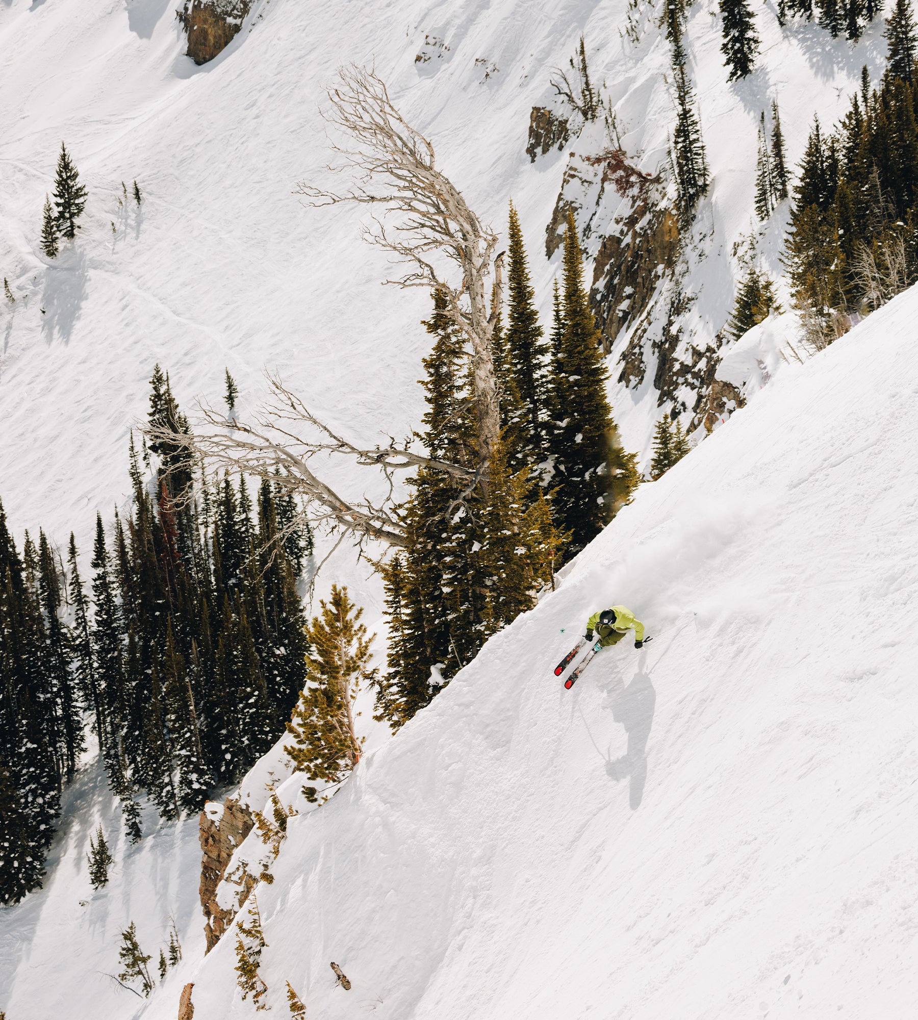 k-stle-paragon-101-sci-freeride image 4
