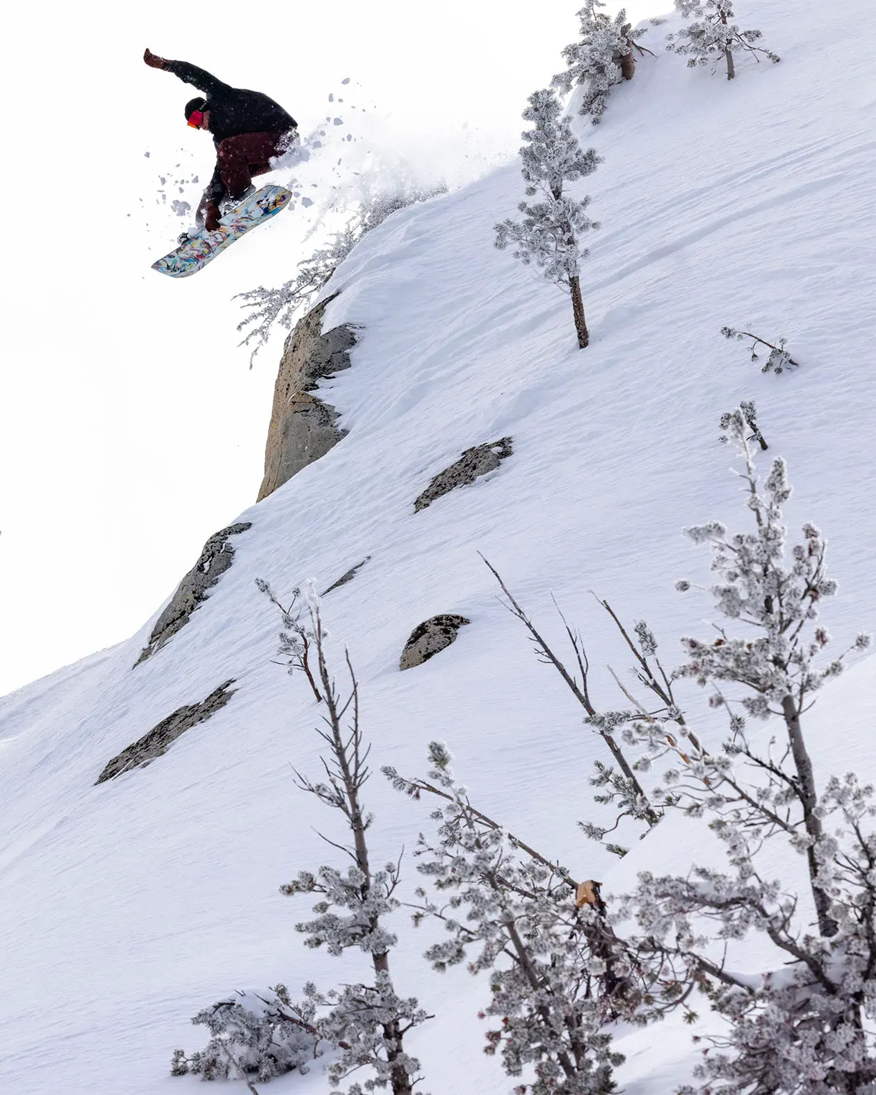 jones-snowboards-mind-expander-twin-2025-snowboard-unisex image 4