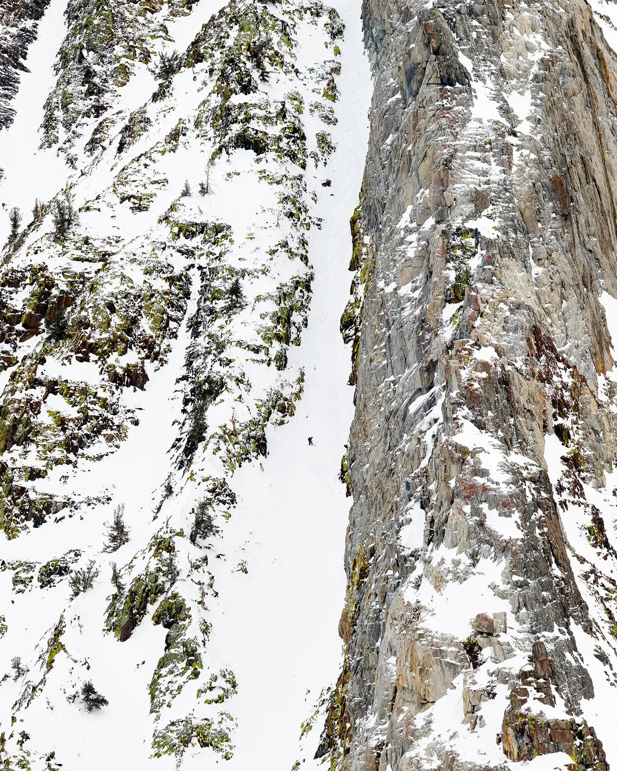 jones-snowboards-solution-splitboard-ultralight-uomo image 4