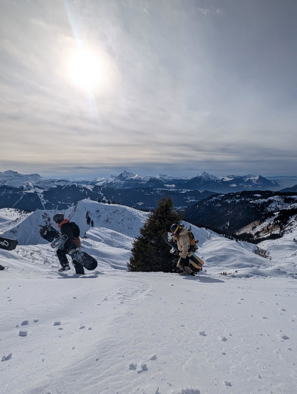 Freeride al top