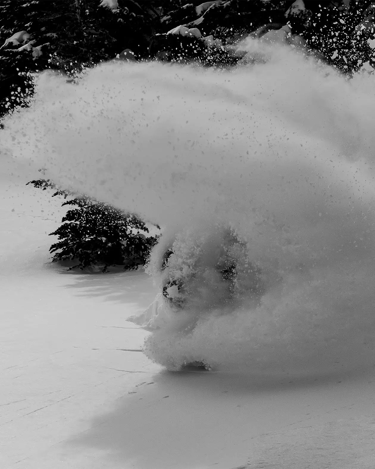 jones-snowboards-project-x-snowboard-da-uomo-ultralight image 3